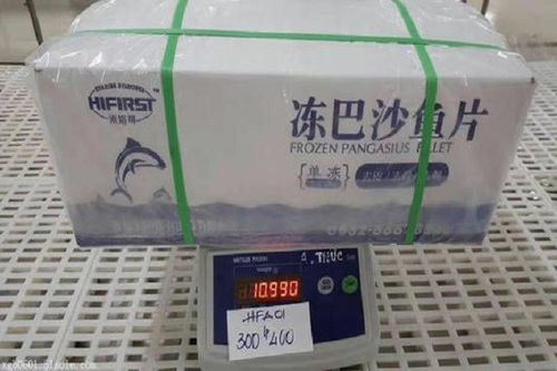 天津港进口冷冻虾门到门清关服务公司